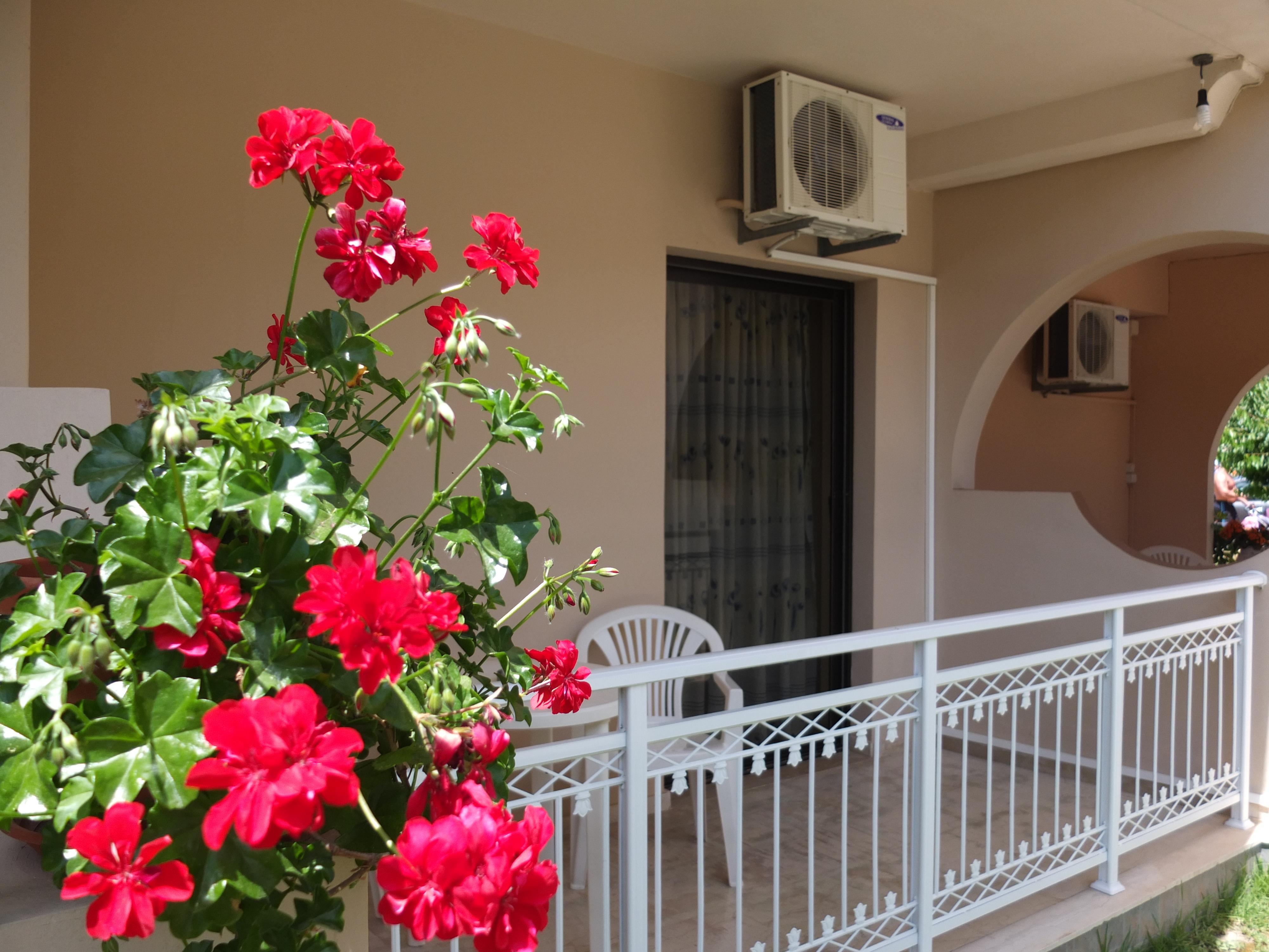 Toula'S Apartments Sidari  Exterior photo